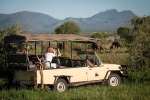 game drive in Kidepo